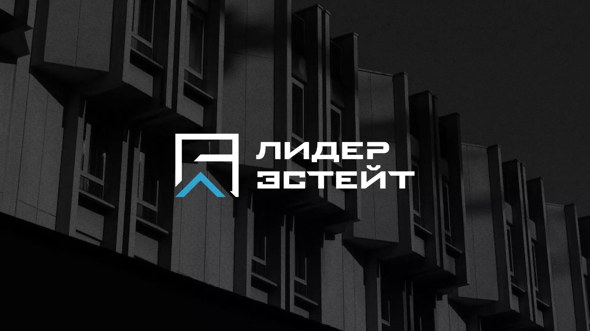 Разработка логотипа агентства недвижимости «Лидер Эстейт» в Мурманске